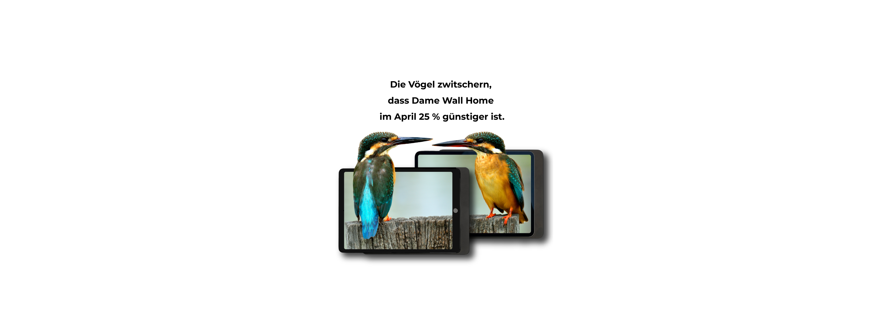 Dame Wall Home -25%