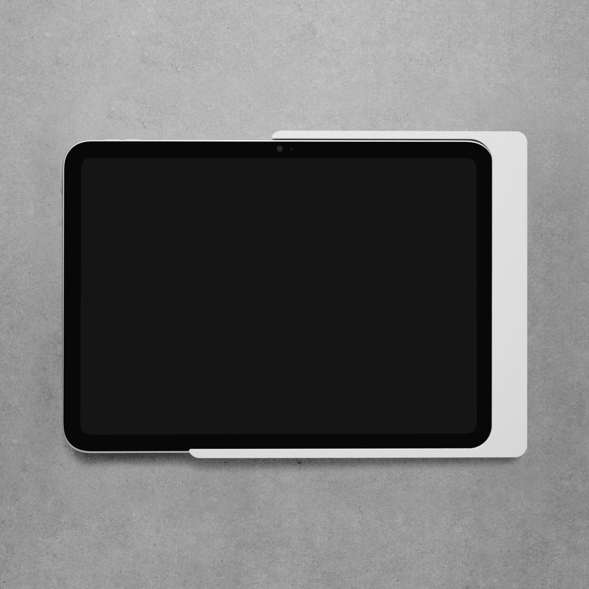 Companion Wall Home pour iPad