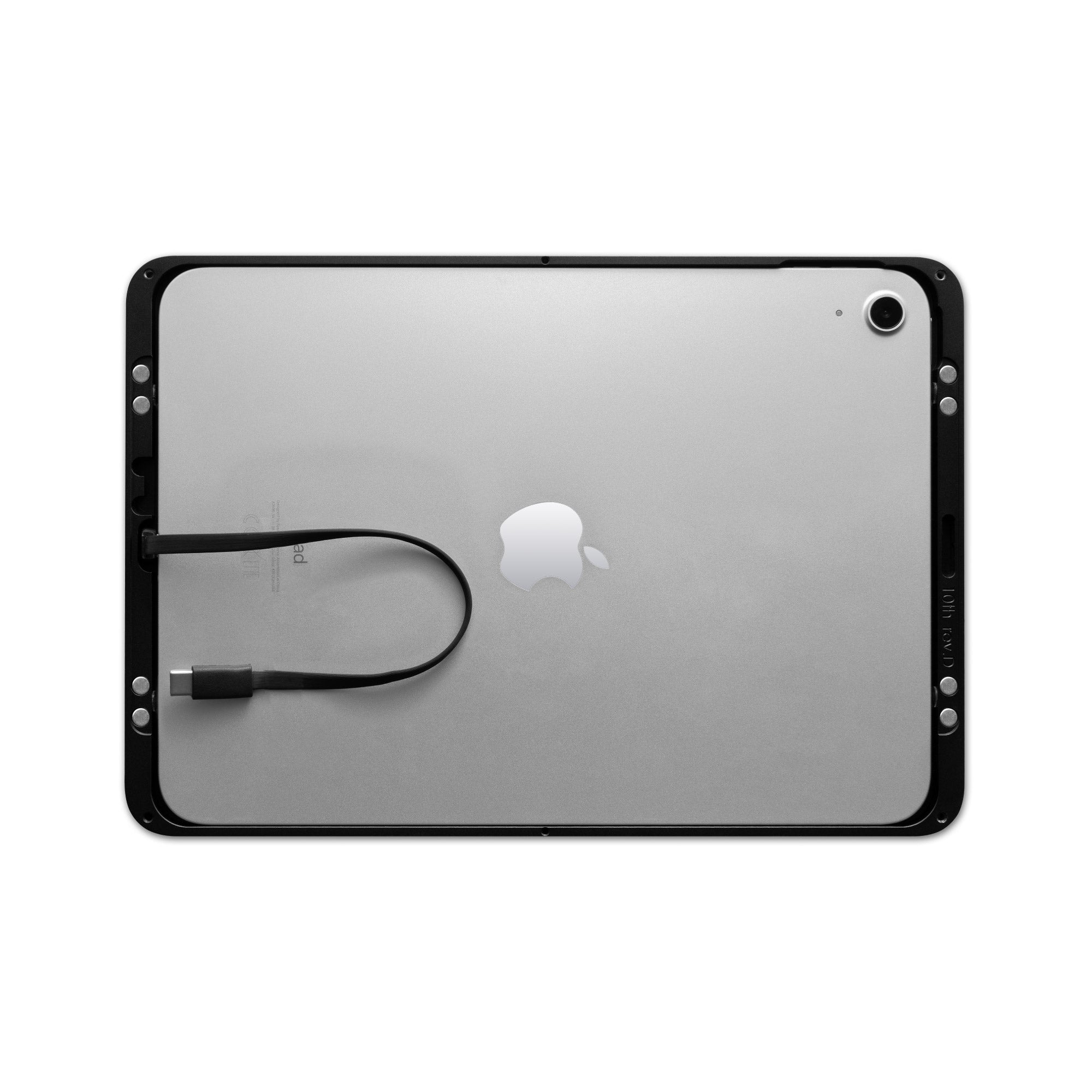 Dame Wall 2.0 pour iPad Air