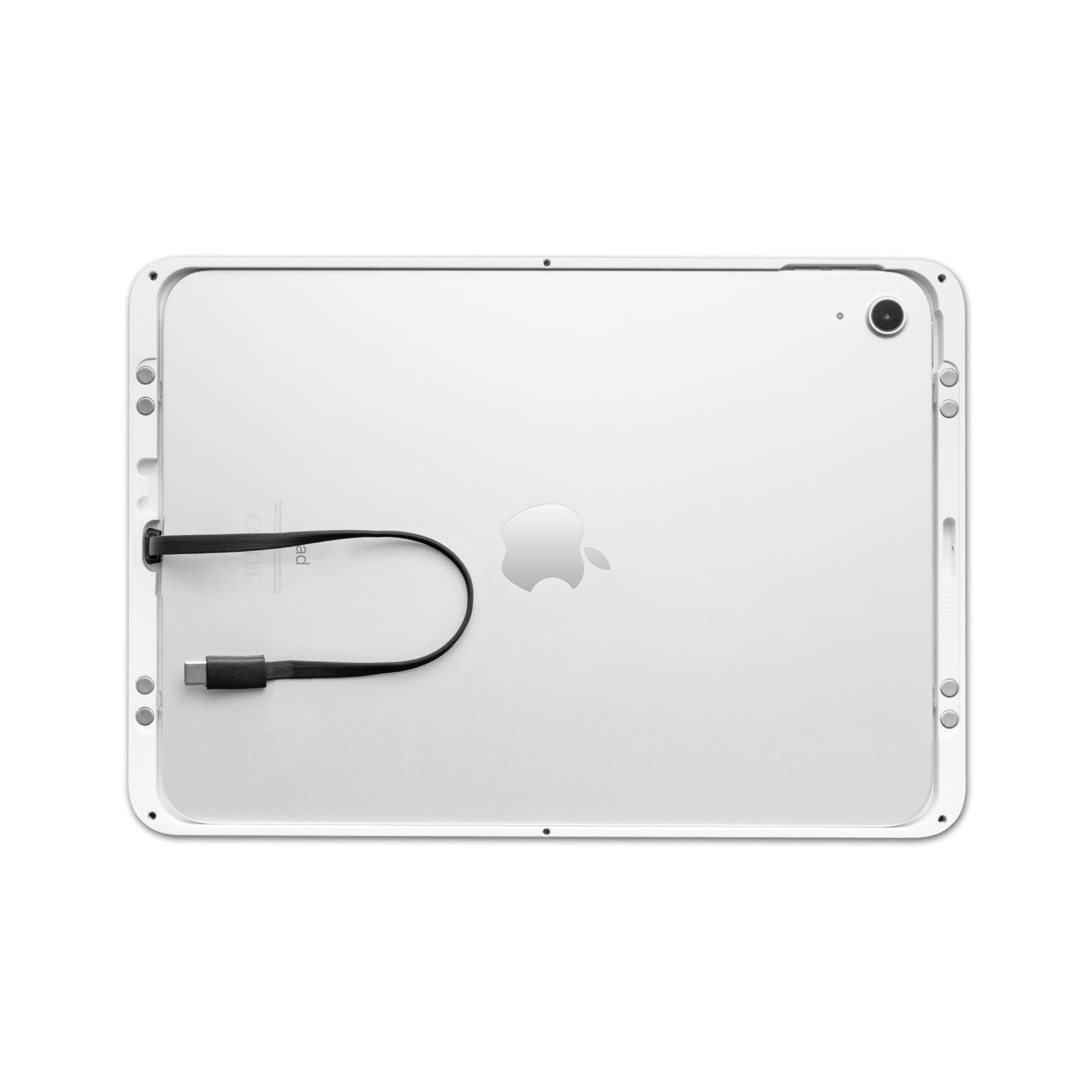 Dame Wall 2.0 pour iPad Air